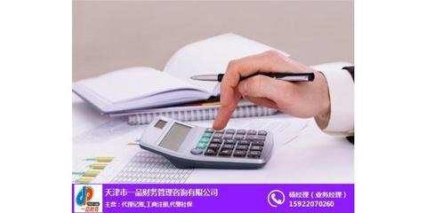 西青財(cái)務(wù)外包與財(cái)務(wù)咨詢 天津銀星賬務(wù)如何助力企業(yè)高效財(cái)務(wù)管理